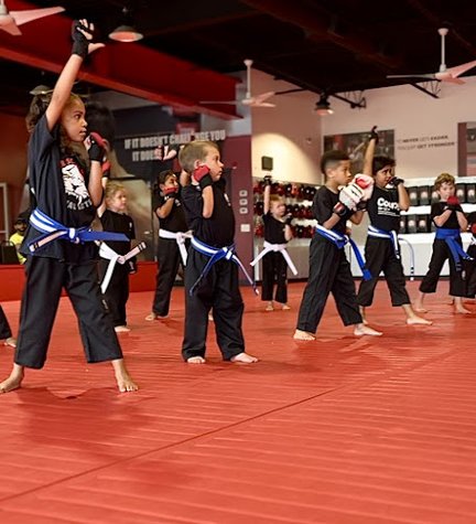 Tiger Schulmann's Martial Arts (Colmar, PA) gym photo