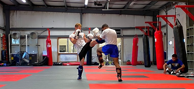 Impact Zone Training Center gym photo