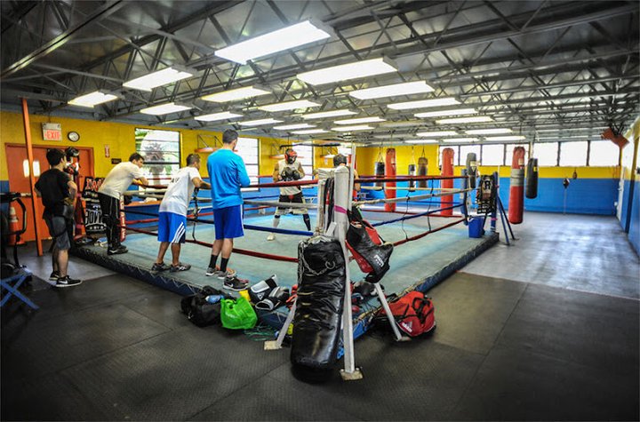 Tropical Park Boxing Foundation gym photo