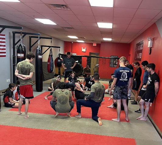 Snake Pit U.S.A. Mixed Martial Arts Academy/Machado Jiu-Jitsu gym photo