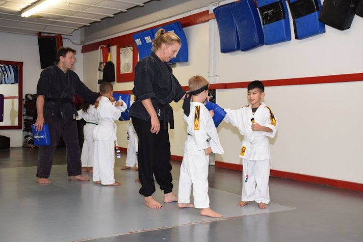 ProKarate Grand Rapids gym photo