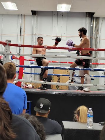 Level Up Boxing & Fitness gym photo
