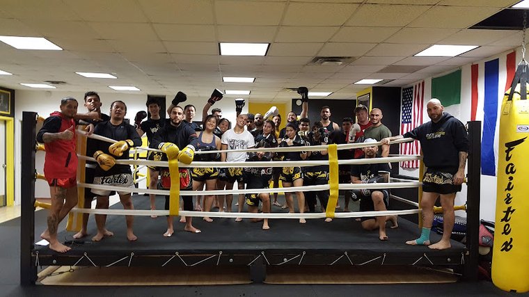 8 Venoms Muay Thai gym photo