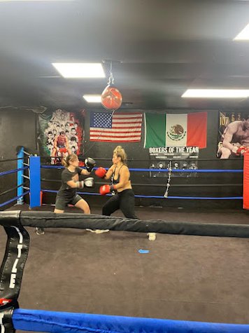 Gaber Boxing gym photo