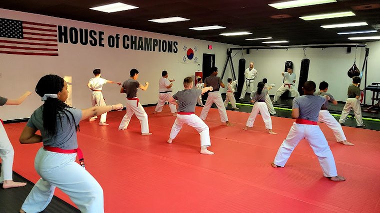 V-FIT HOUSE of CHAMPIONS gym photo