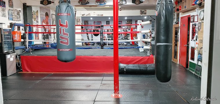 Big Six Boxing Academy gym photo