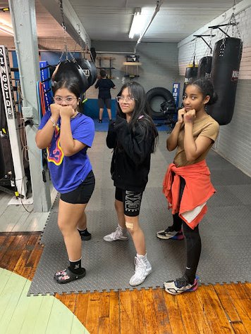 Killer Bee's Boxing & Fitness gym photo