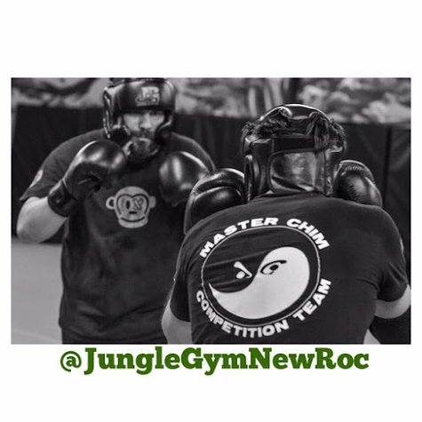 Jungle Gym Martial Arts gym photo