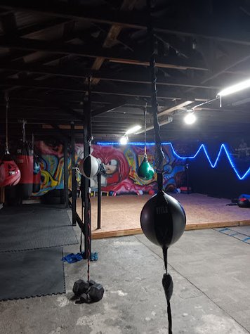 Buck Up Boxing Academy gym photo