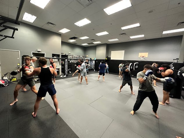 Fortis MMA Lakeside gym photo