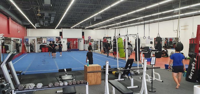 EKF Martial Arts gym photo