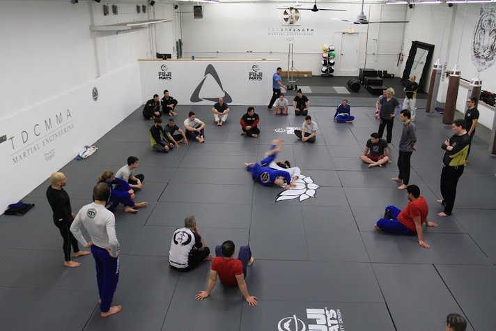 TDC MMA + Fitness gym photo