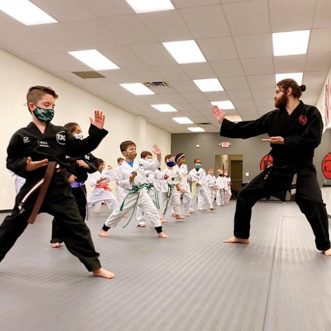 Dragon Gym Malvern - TKD, BJJ, Muay Thai gym photo