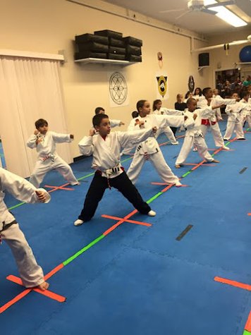 American Black Belt Academy - American Karate, Brazilian Jiu Jitsu & MMA Striking gym photo