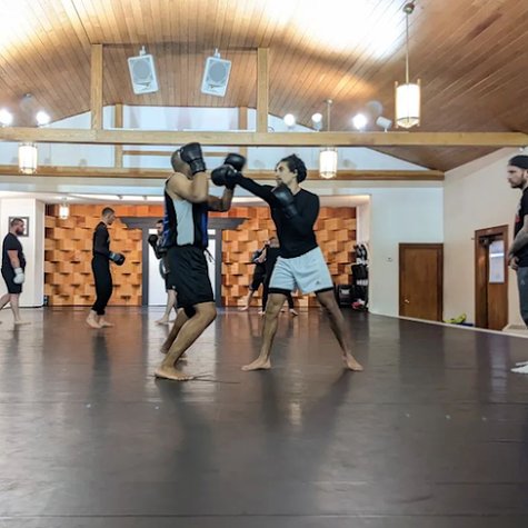 Fight Mechanix Kickboxing & MMA - Flint, MI gym photo