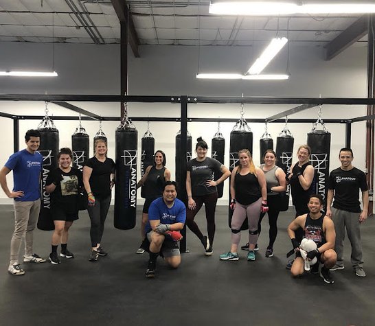 Anatomy Boxing & Fitness gym photo