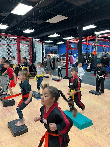 CAT Sigalas Martial Arts & Boxing gym photo