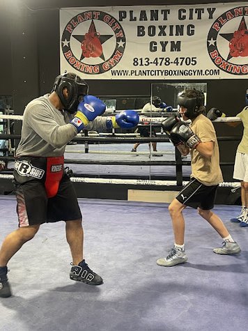 Plant City Boxing gym gym photo