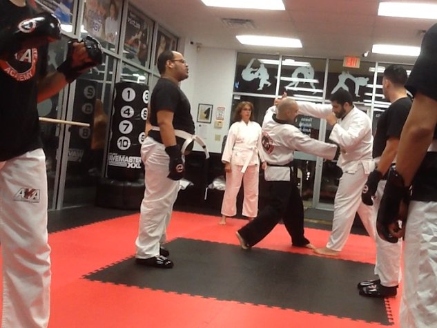American Karate Academy #1 MMA/Karate School in Miami gym photo