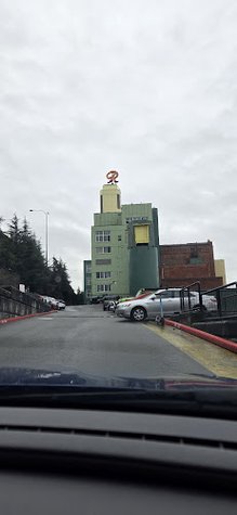 Scratch Line Muay Thai gym photo