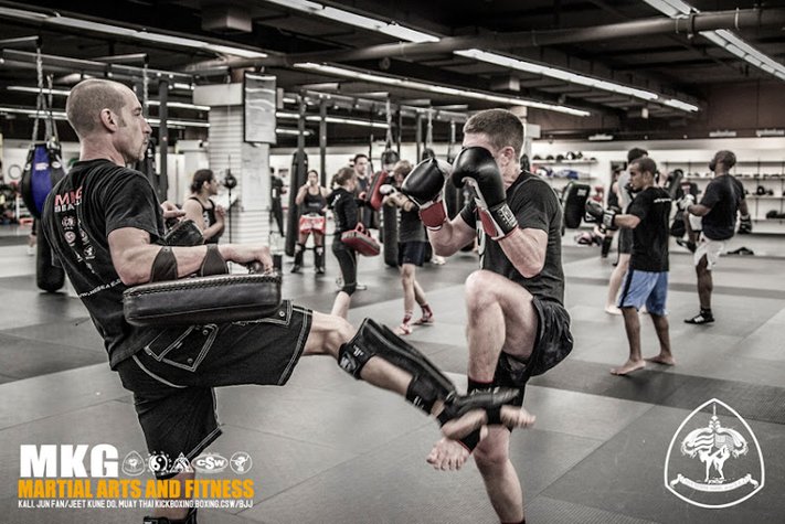 MKG Martial Arts, Kickboxing & Fitness gym photo