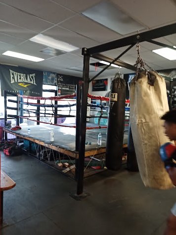 Las Vegas Fight Club gym photo