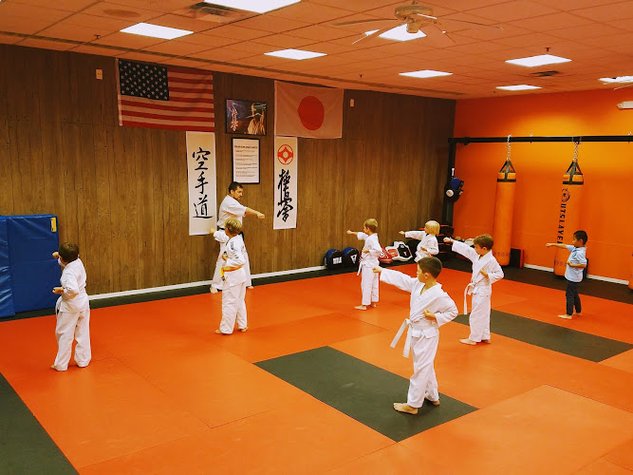 Ballistic Budo Club gym photo