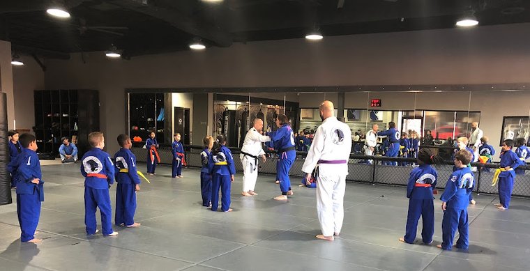 Warrior Martial Arts Academy gym photo