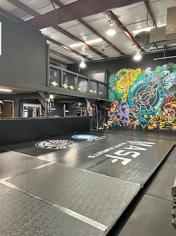 Violent Hippie Academy gym photo