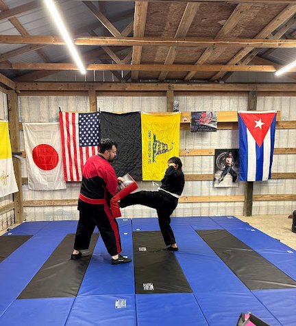 Red Dragon Self Defense USA gym photo
