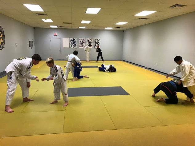 URSA Academy - Ribeiro Jiu-Jitsu Ann Arbor gym photo