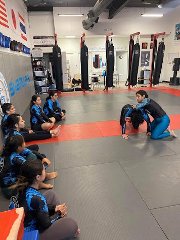 FS Mixed Martial Arts & Fitness gym photo