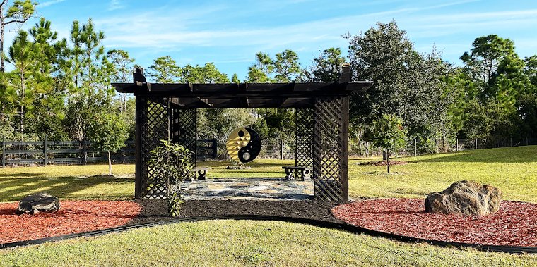 Six Monkey Martial Arts gym photo