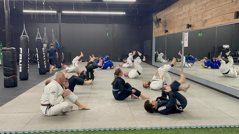 Budo Tatami gym photo