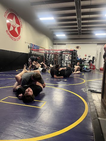 Pedigo Submission Fighting Bloomington gym photo