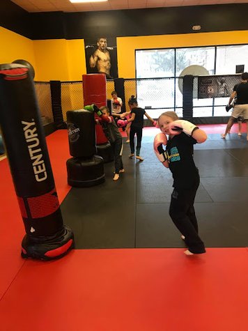 Independent MMA & Fitness of Newnan, GA gym photo