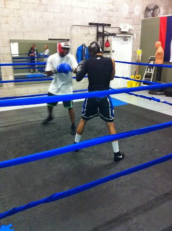 Brazilian Vale Tudo gym photo