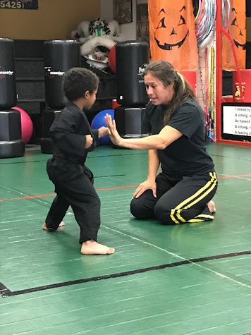 Vizzio's Institute of Martial Arts gym photo