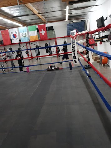 Tazmanian Boxing Club gym photo
