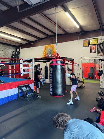 Black Belt Boxing Inc gym photo