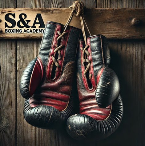 S&A Boxing Academy gym photo